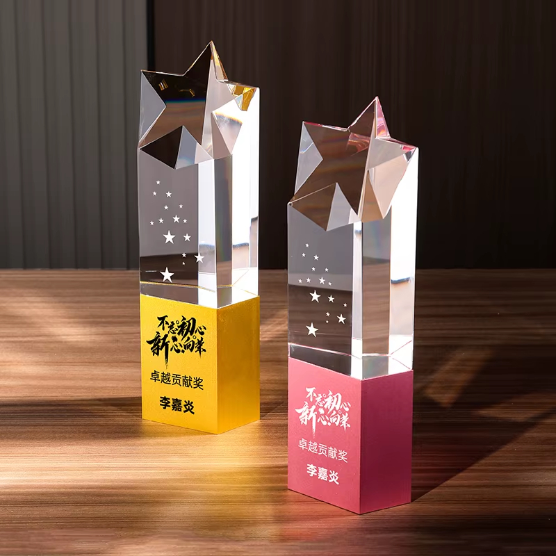 Outstanding Contribution Trophy4