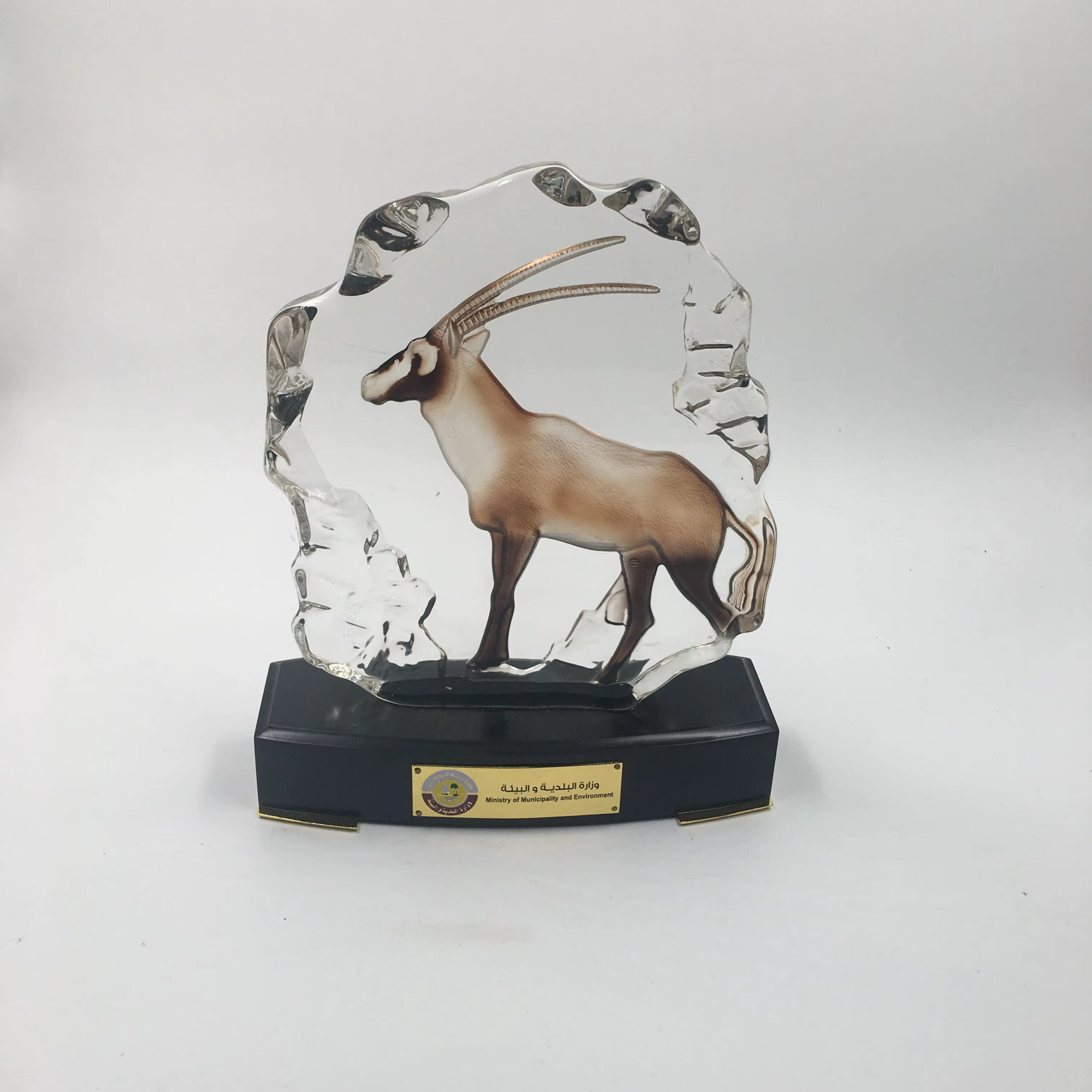 Qatar Oryx Trophy-01