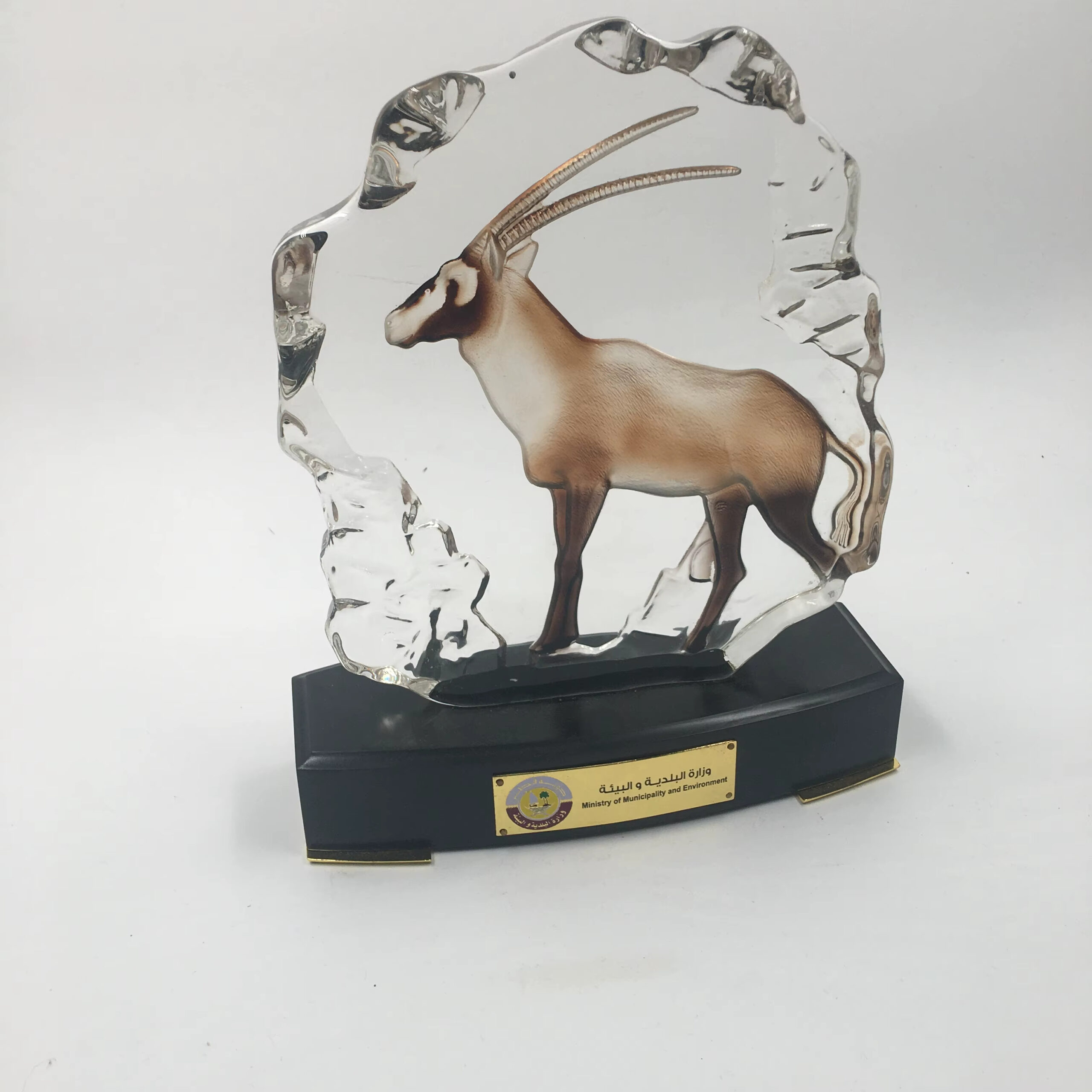 Qatar Oryx Trophy-03