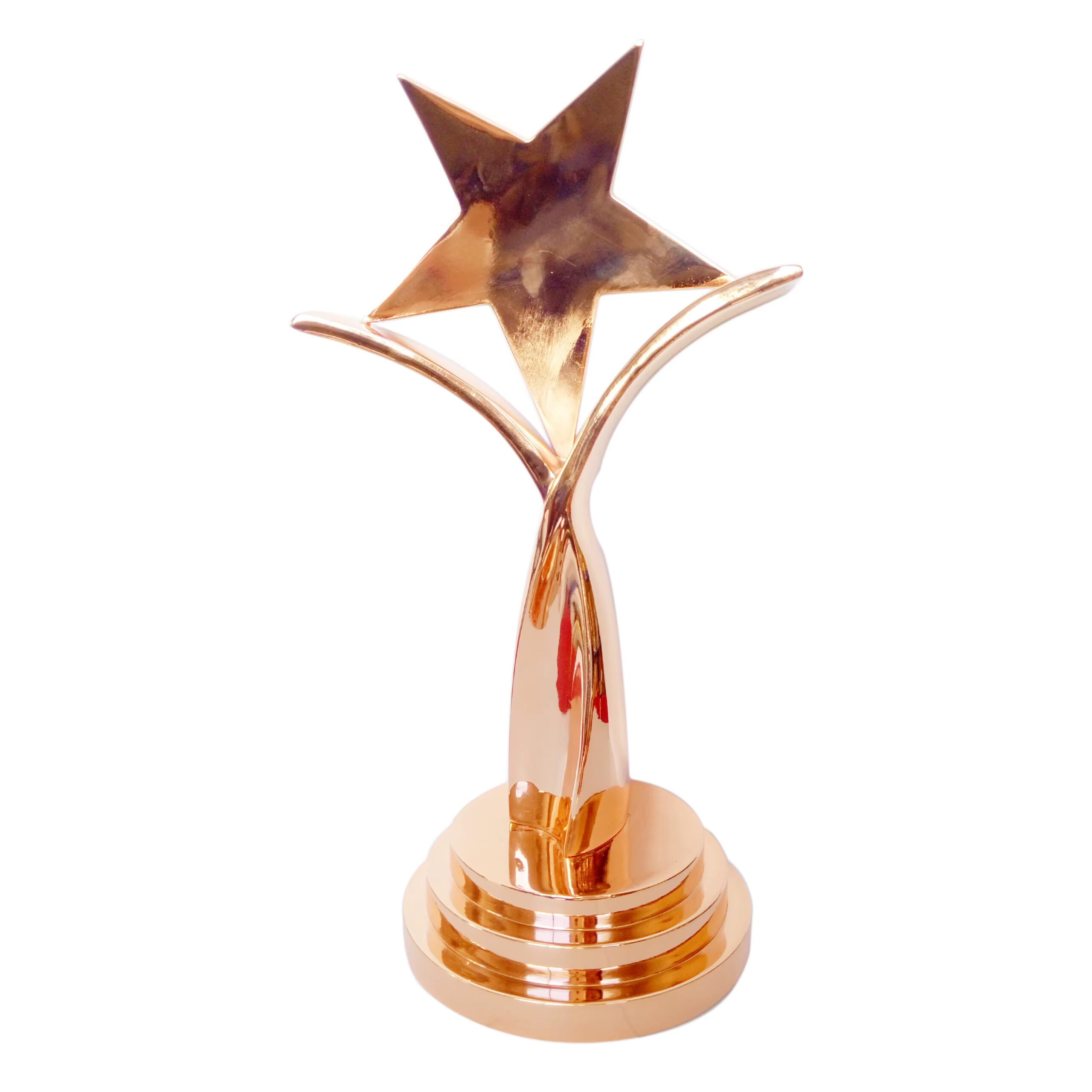 Rose Gold Star Trophy4