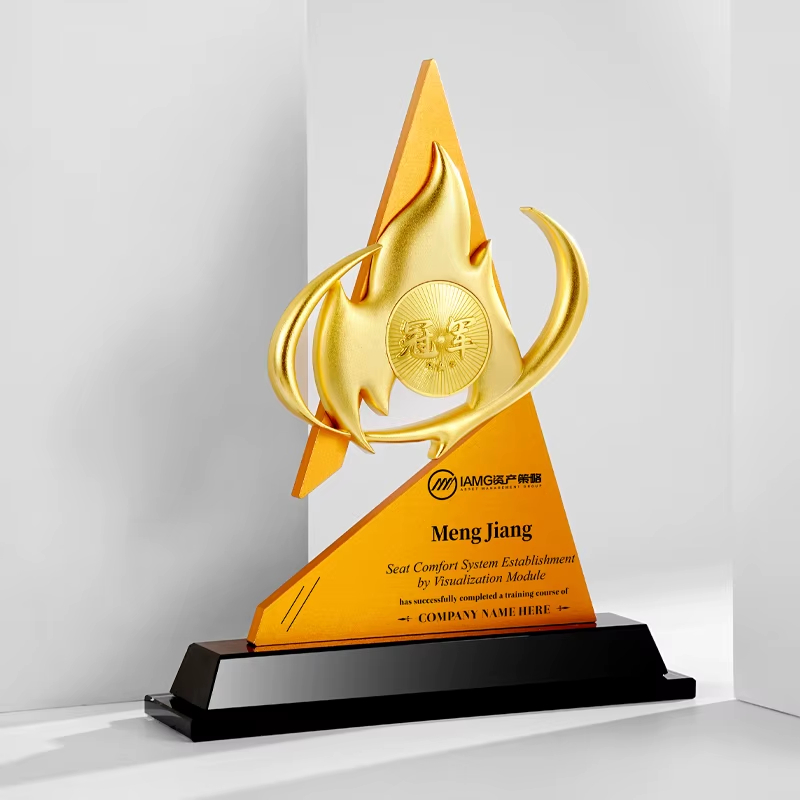 Sports metal trophy award-05