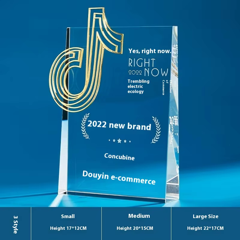 Tiktok Internet celebrity trophy custom-05