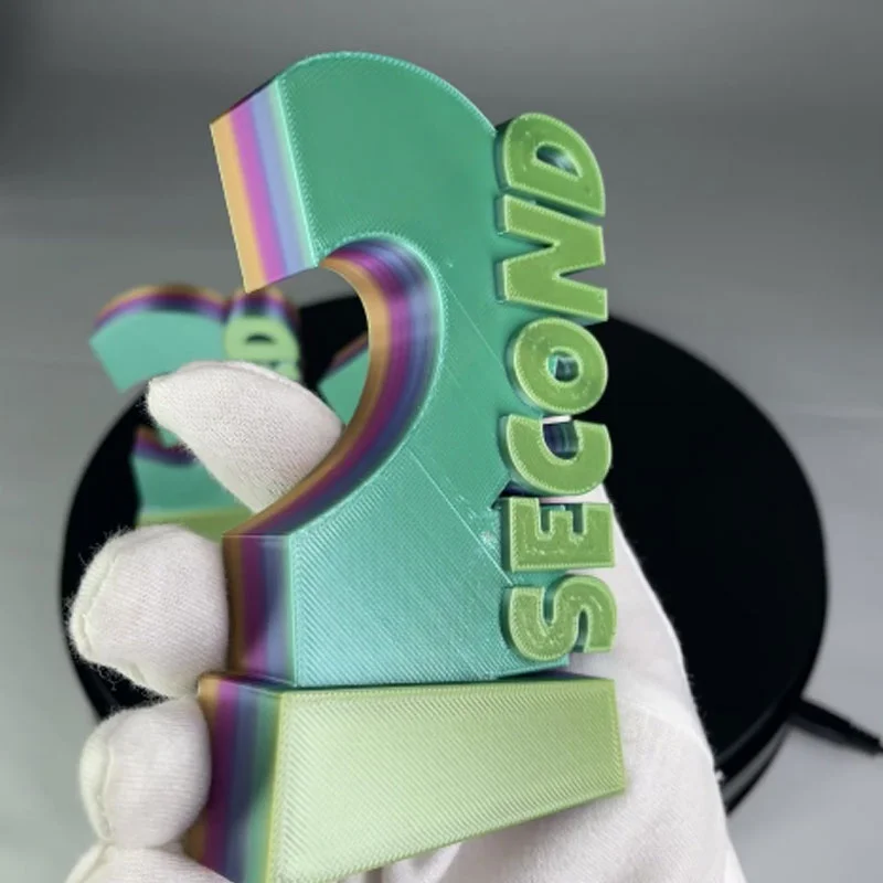 Custom printed 3D models24