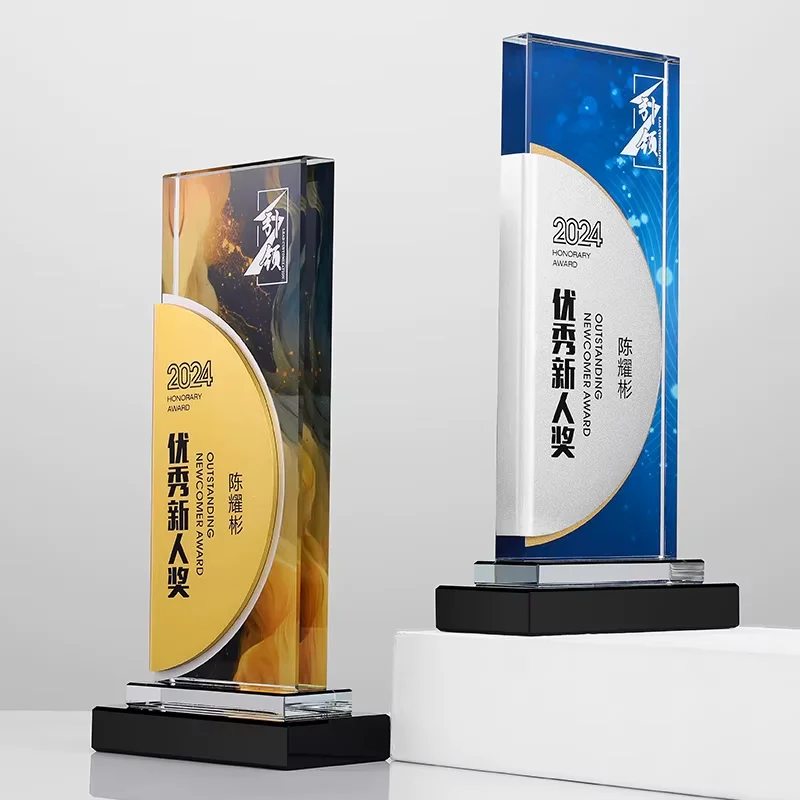 Outstanding Newcomer Crystal Award2