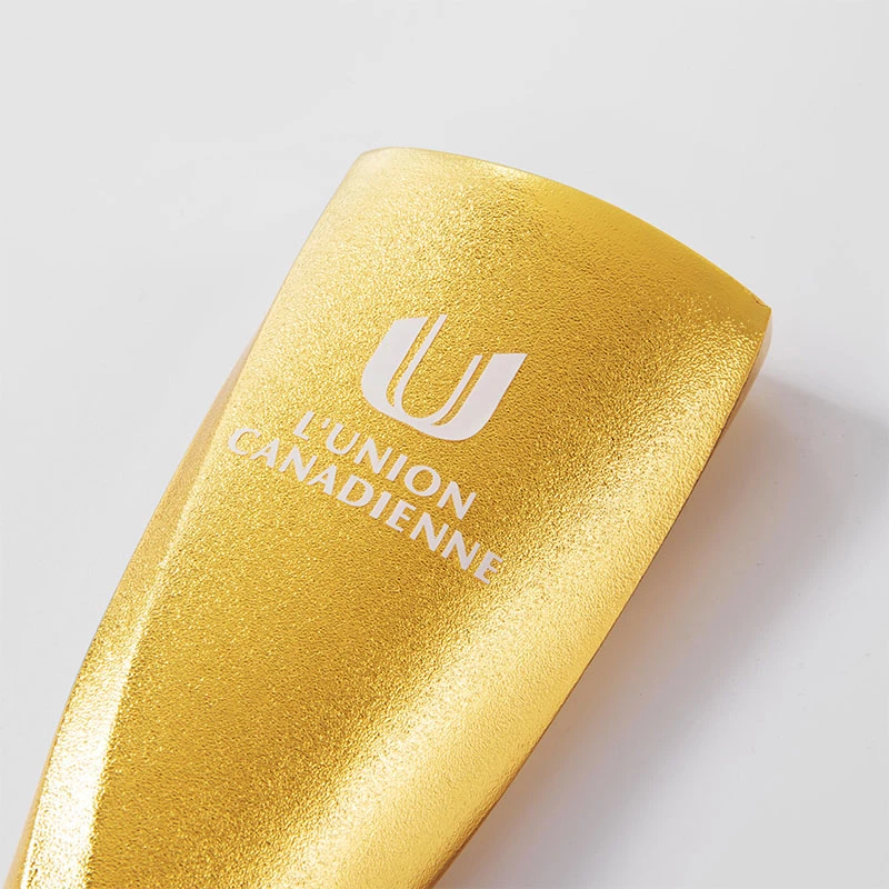 Sandblasted metal trophy8