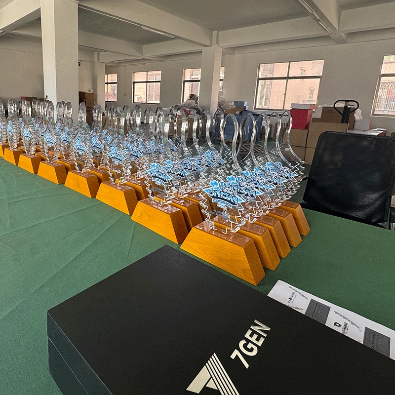 Acrylic trophy with wooden base4