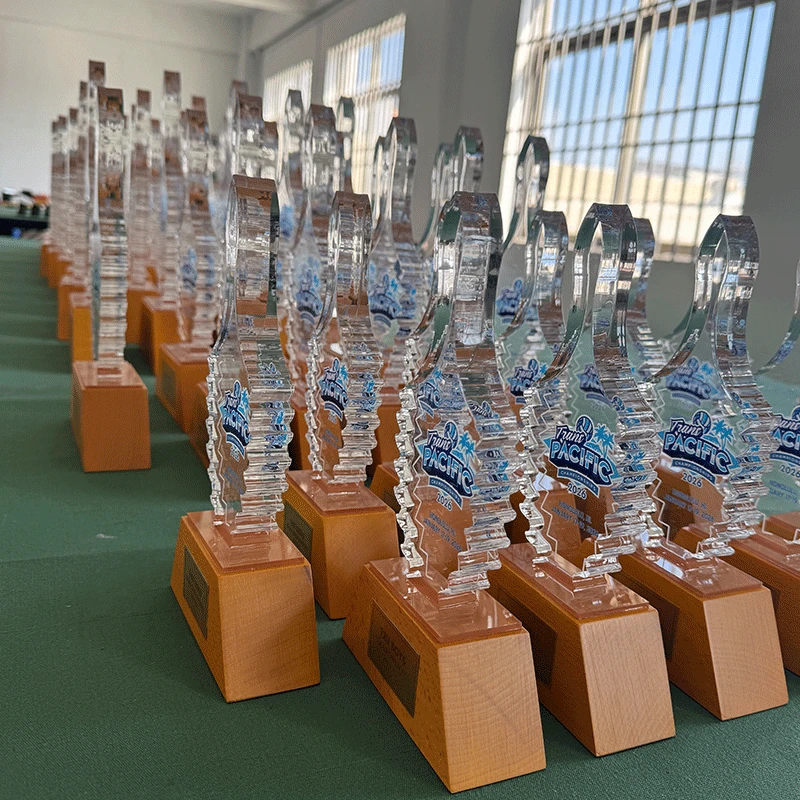 Acrylic trophy with wooden base5
