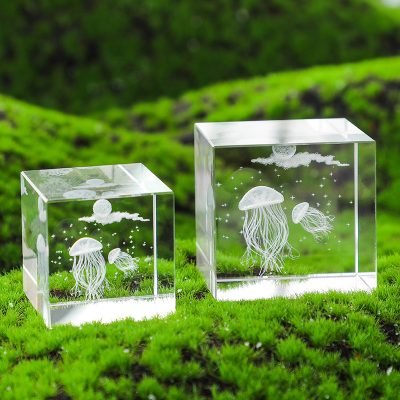 3d photo in crystal 05