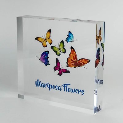 Acrylic Butterfly trophy 05