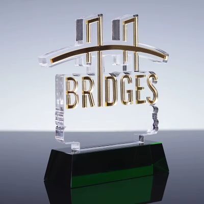 Acrylic Creative Trophy Award Custom-01