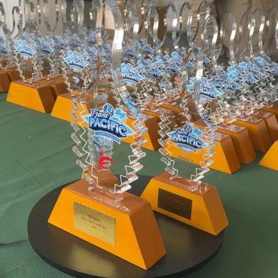 Acrylic trophy with wooden base3