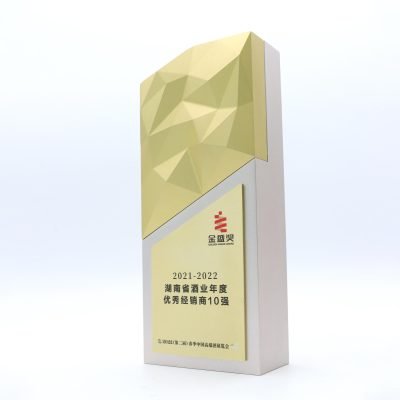Aluminium alloy trophy 02