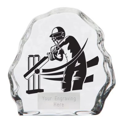 Cricket Trophy custom Supplier-01
