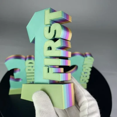 Custom printed 3D models23