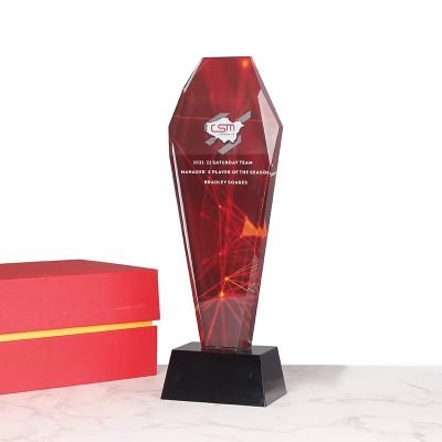 Diamond Color Printed Crystal Trophy-01