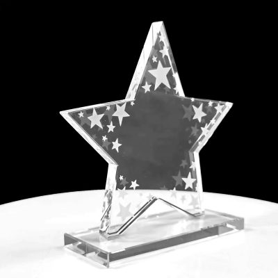 Glass Star Trophy1