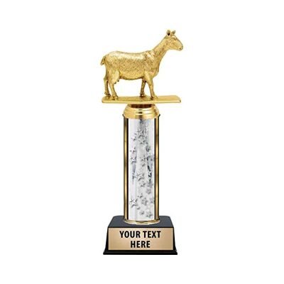 Large Trophy Supplier 25-2
