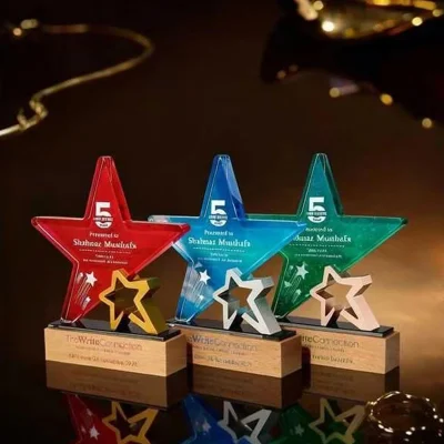Long Service Star Award4