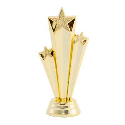 Metal Star Trophy Customization1