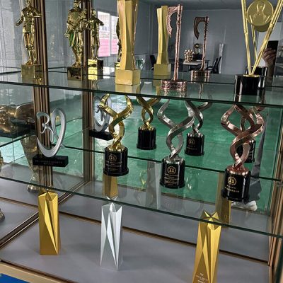 Metal Trophy