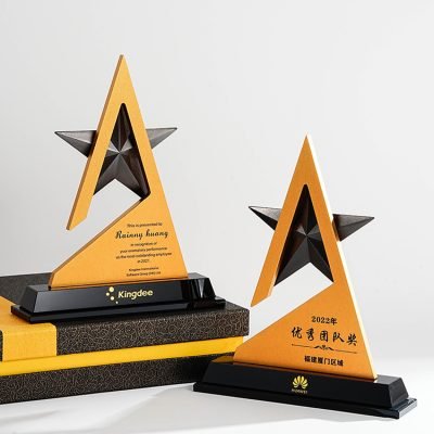 Outstanding Team Trophy-05