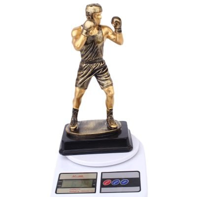 boxer trophy​ 3-4