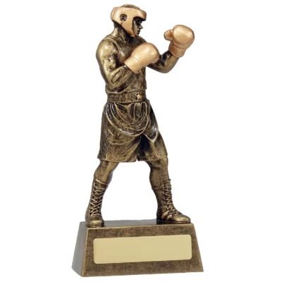 boxing awards​ 6-1