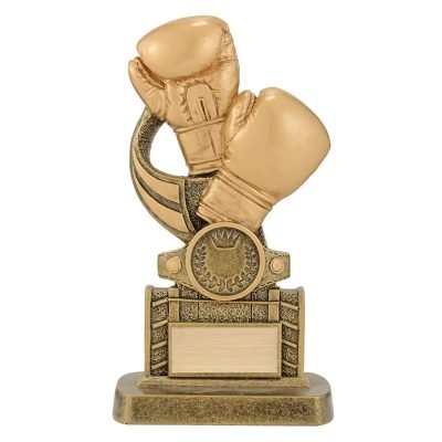 boxing awards​ 6-4