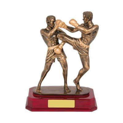 boxing champion trophy 4-4