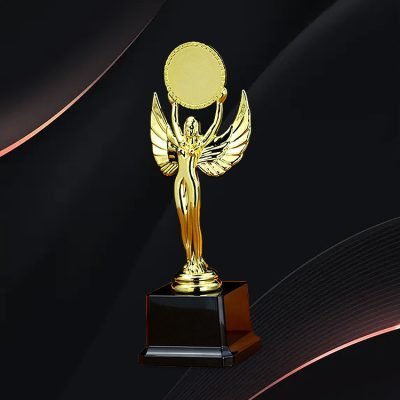 country music association award 15-5