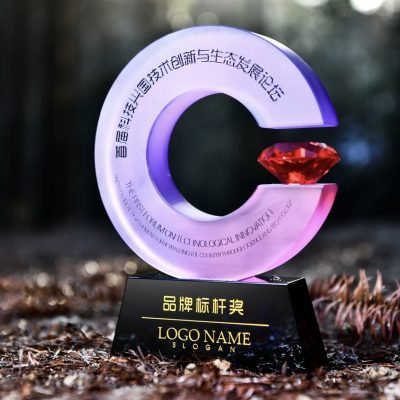 Crystal Award Custom 211