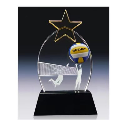 end of season volleyball award ideas​ 17-1