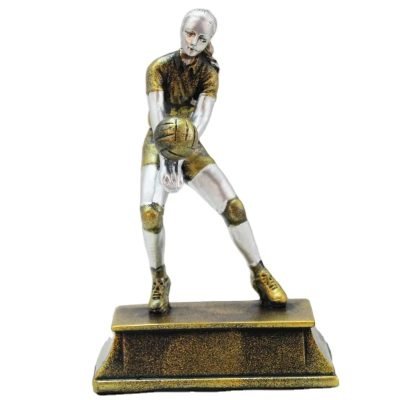 funny volleyball award ideas​ 10-1