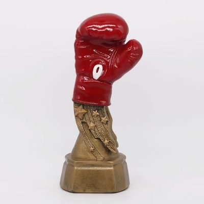 golden gloves boxing award​ 8-2