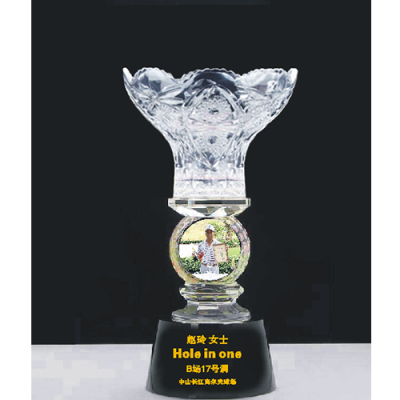 golf ball hole in one trophy​ custom89