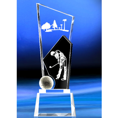 golf championship trophy Suppliers110