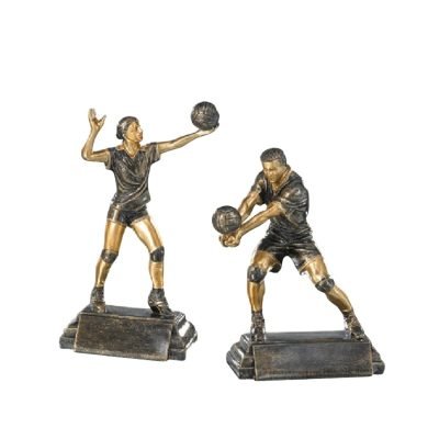 ideas for volleyball awards​ 18-1
