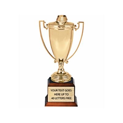 large trophy cup​ Supplier 29-1