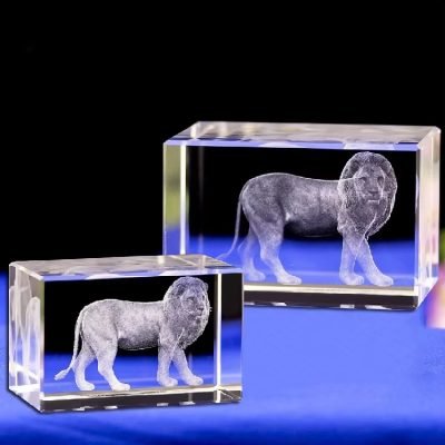 lions club awards​ 13-2