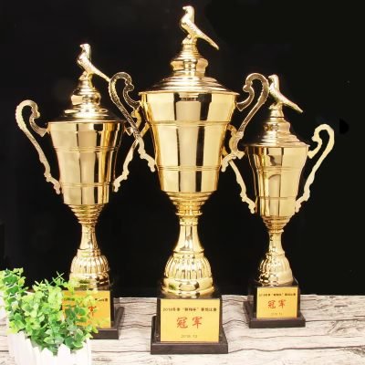 pigeon award​ 6-1