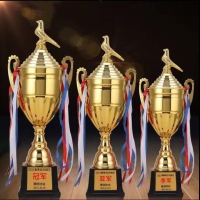 pigeon trophy 1-1