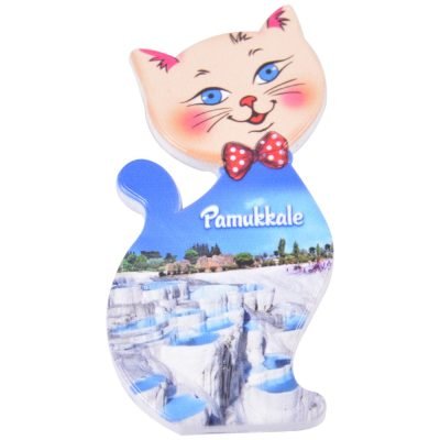 refrigerator magnet souvenir​ 50-1