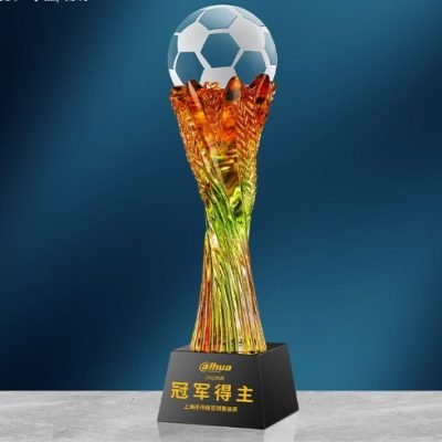 soccer trophies 6-2