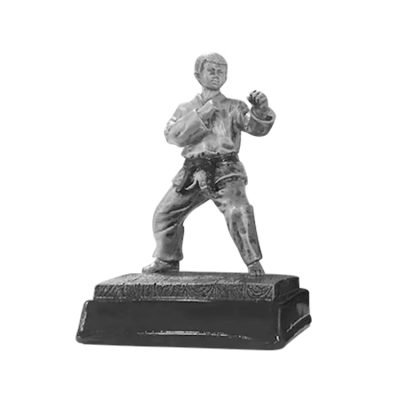 taekwondo trophy 7-5