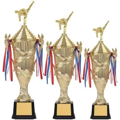 taekwondo trophy​ 5-1