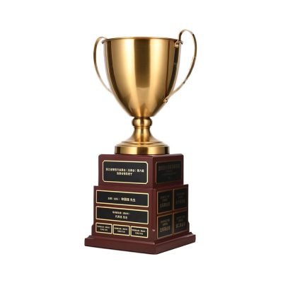the great divide football trophy 28-1