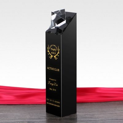 unique crystal award 03