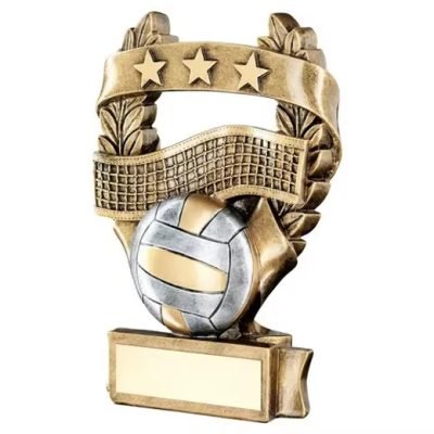 volleyball awards for banquet​ 11-3