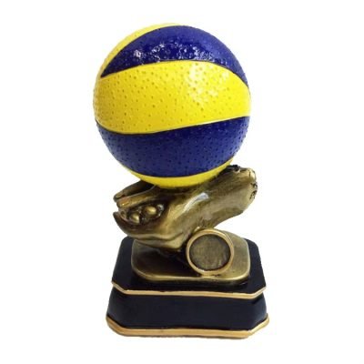 volleyball awards ideas​ 5-1