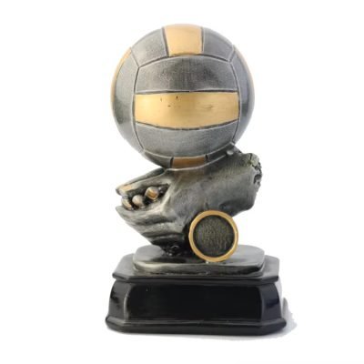 volleyball awards​ 4-1